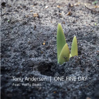 One Fine Day by Tony Andersen