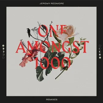 One Amongst 1000 (Remixes) by Jeremy Redmore