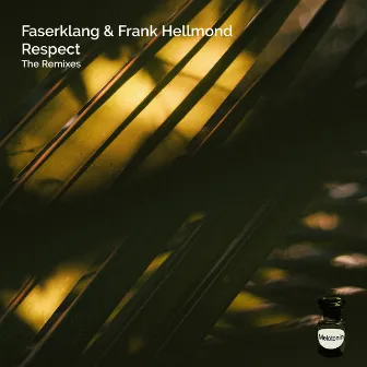 Respect (The Remixes) by Faserklang