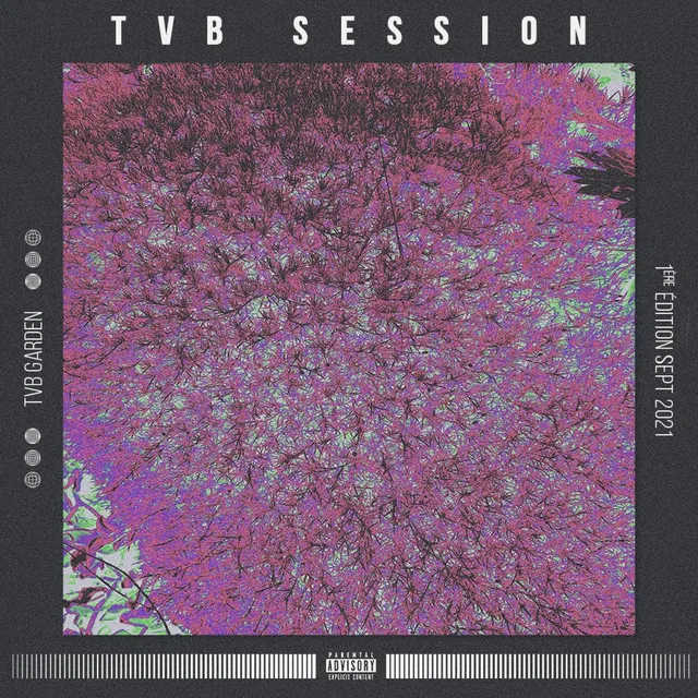 TVB Session 1