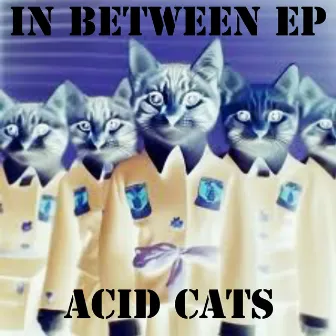 In Between EP by Acid Cats