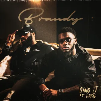 Brandy (feat. Odeal) by Gino J