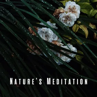 Nature's Meditation: Binaural Rain Sounds for Deep Serenity by Freq Molecule