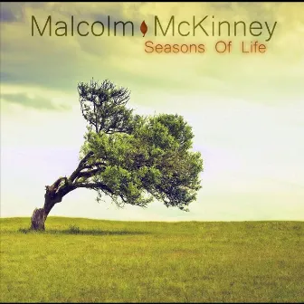 Seasons of Life by Malcolm McKinney