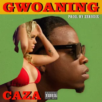 Gwoaning by Caza