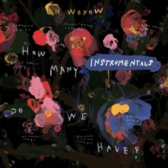 How Many Instrumentals Do We Have? by Woxow