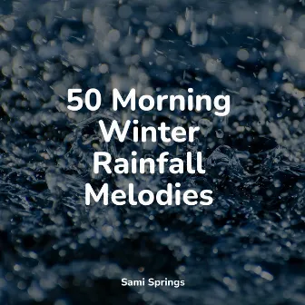 50 Morning Winter Rainfall Melodies by Nature Sounds XLE Library