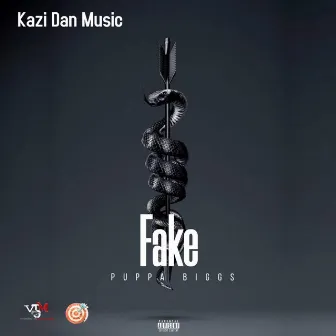 Fake by kazidan