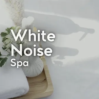 White Noise Spa by Deep Sleep Hair Dryers