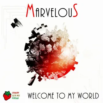 Welcome To My World by The Marvelous