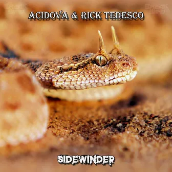 Sidewinder by Rick Tedesco