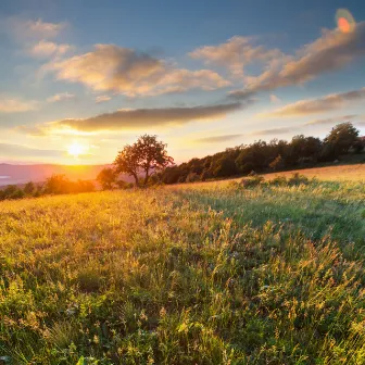 Earth's Melodies: Serene Nature Ambience for Peaceful Reflection by Mother Earth HD