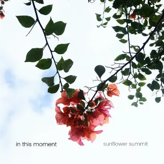 In This Moment by Sunflower Summit