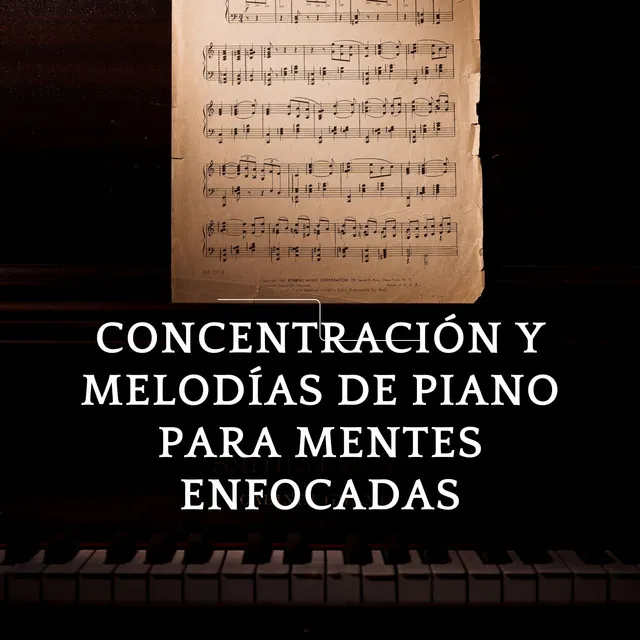 Concentración Y Melodías De Piano Para Mentes Enfocadas