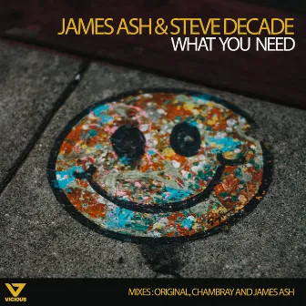 What You Need by James Ash