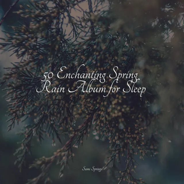 50 Enchanting Spring Rain Album for Sleep