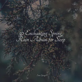 50 Enchanting Spring Rain Album for Sleep by Sons da Natureza & Relaxamento