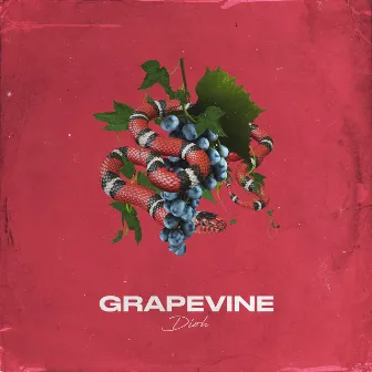 Grapevine by Dioh