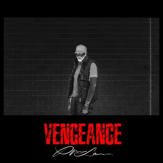 Vengeance: Reloaded by PM Lowe