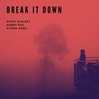 Break It Down by Diggy Dialekt