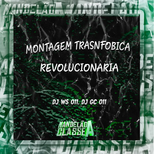 Montagem Trasnfobica Revolucionaria