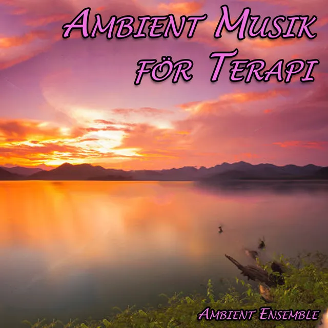 Ambient Musik för Terapi