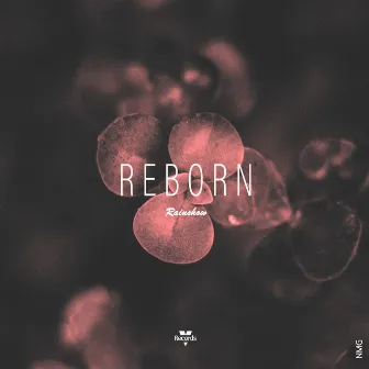 Reborn by NMG