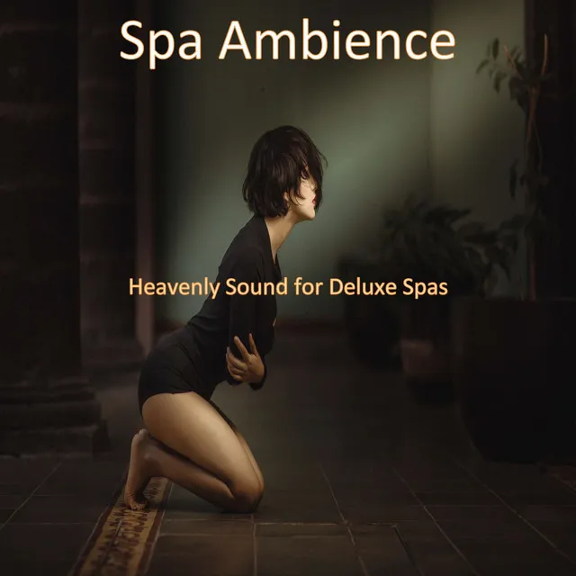 Heavenly Sound for Deluxe Spas