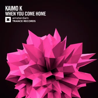 When You Come Home by Kaimo K