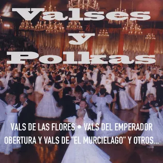 Valses y Polkas by Gran Orquesta Vienesa