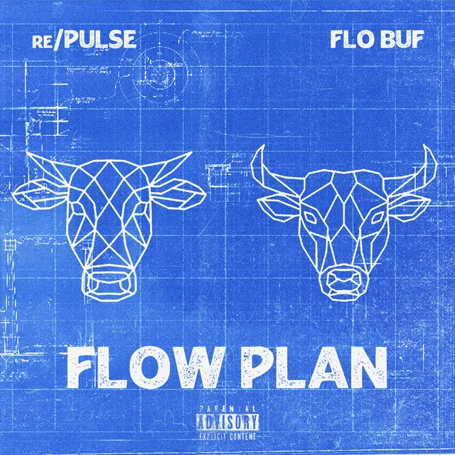 Flow Plan