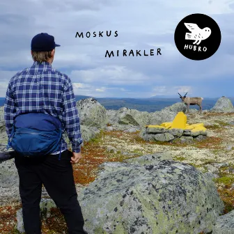 Mirakler by Moskus