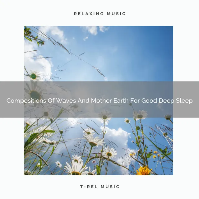 Compositions Of Waves And Mother Earth For Good Deep Sleep