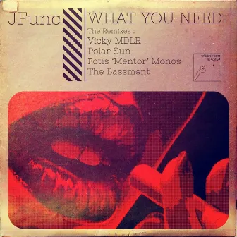 What You Need by JFunc