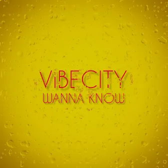 WANNA KNOW by VIBECITY