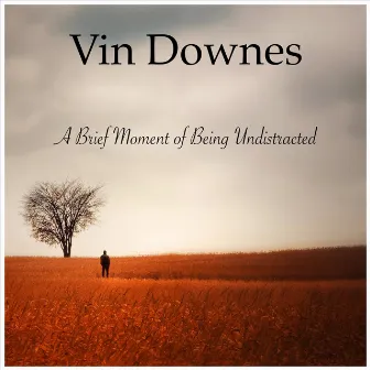 A Brief Moment of Being Undistracted by Vin Downes