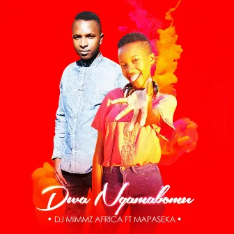 Dwa Ngamabomu by DJ Mimmz Africa