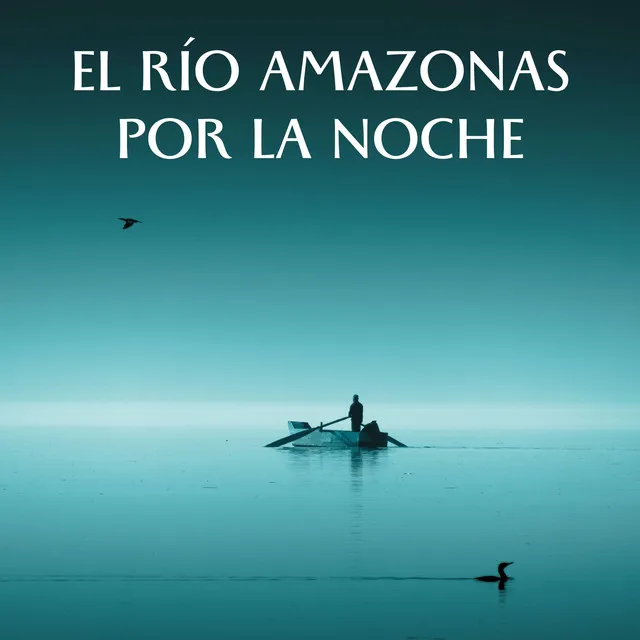 El Río Amazonas Por La Noche