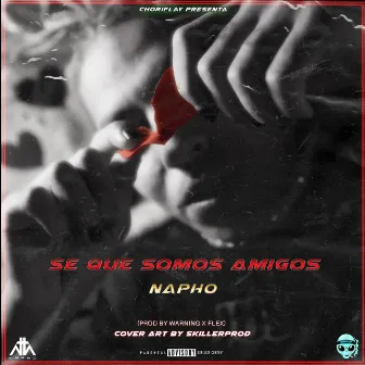 Se Que Somos Amigos by Napho