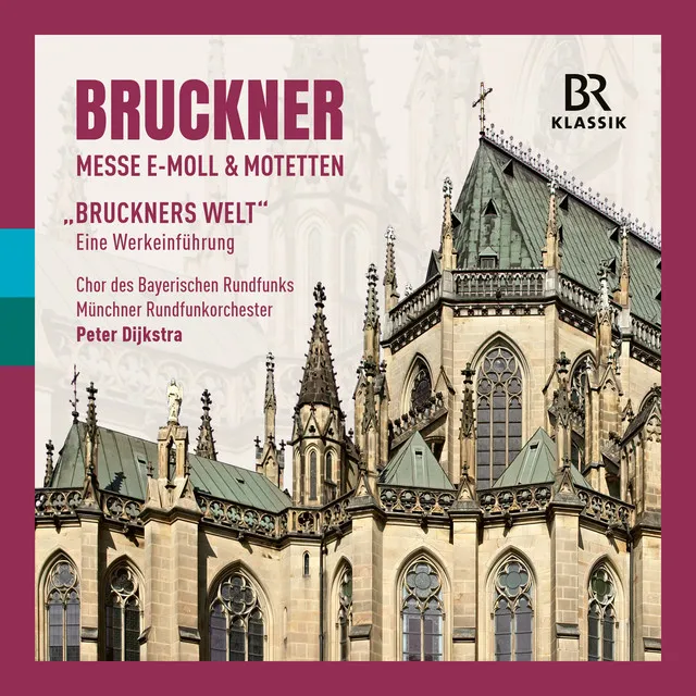 Bruckner's Welt: Kapitel 2: Bruckner wird Student