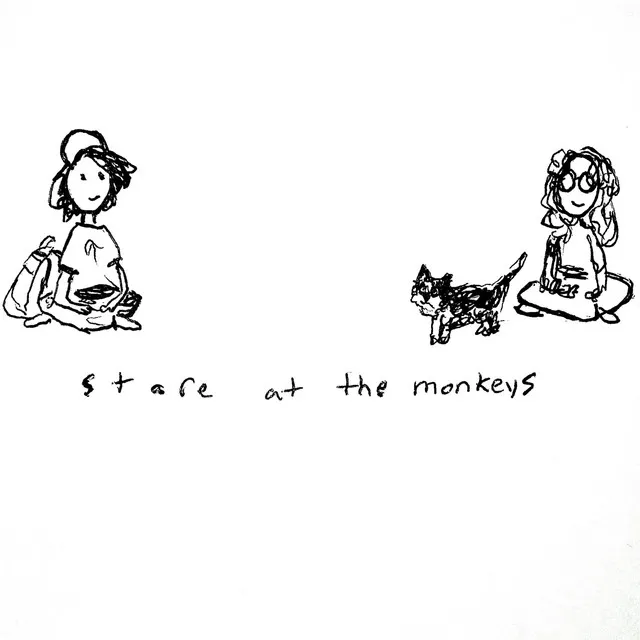 stare at the monkeys