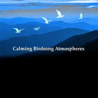 Calming Birdsong Atmospheres by Birds on Television