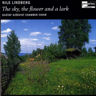 N.Lindberg - The sky, the flower and a lark by Gustaf Sjokvist