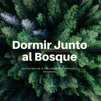 Dormir Junto al Bosque: Los Sonidos de la Naturaleza Más Hermosos y Relajantes by Sonido del Bosque