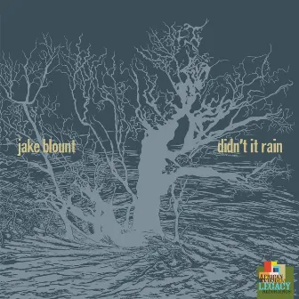 Didn't It Rain by Jake Blount