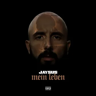 Mein Leben by Jaysus