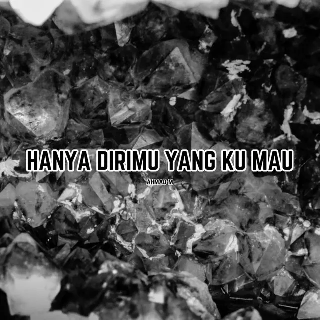 Hanya Dirimu Yang Ku Mau - Remix