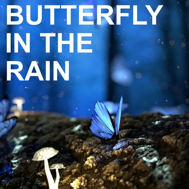 Butterfly in the Rain