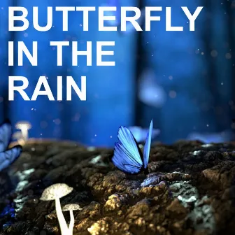 Butterfly in the Rain by The BBC Dance Orchestra