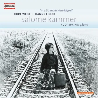 I'm a Stranger Here Myself by Salome Kammer